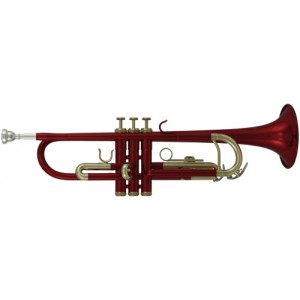 Bb-trumpeta Roy Benson TR-101R 