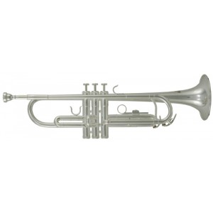 Bb-trumpeta Roy Benson TR-202S 