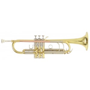  Bb-trumpeta Roy Benson TR-402 
