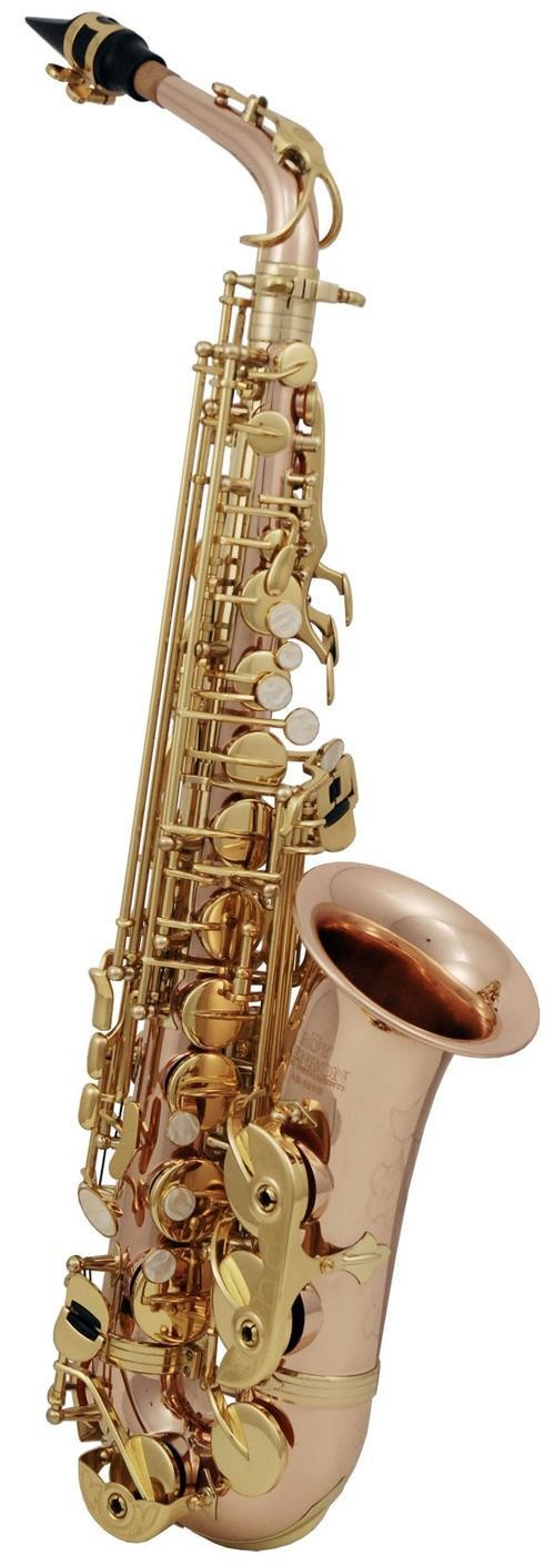 Eb-Alt Saxofon Roy Benson AS-202G 