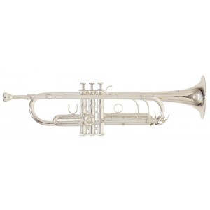 Bb-trumpeta Roy Benson TR-402S